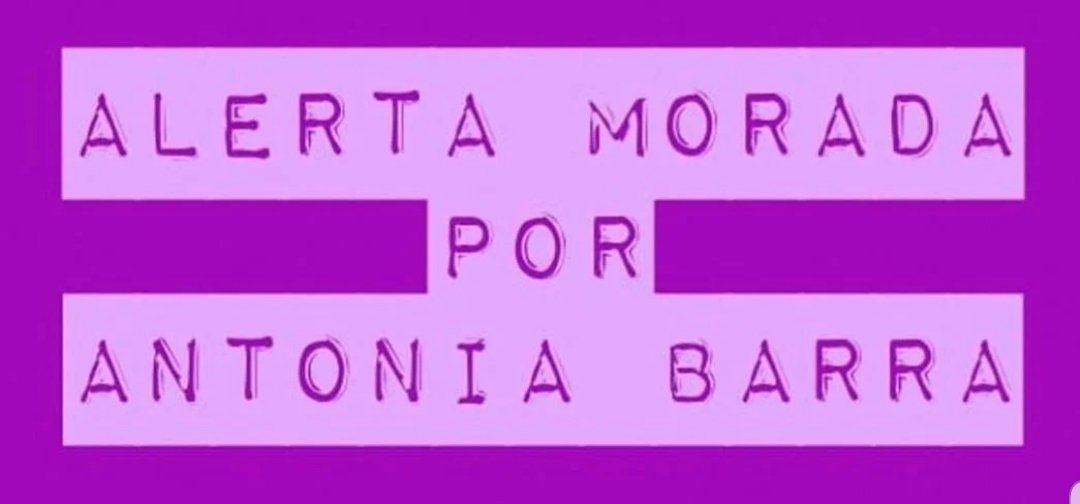 Paulina Paz tweet media