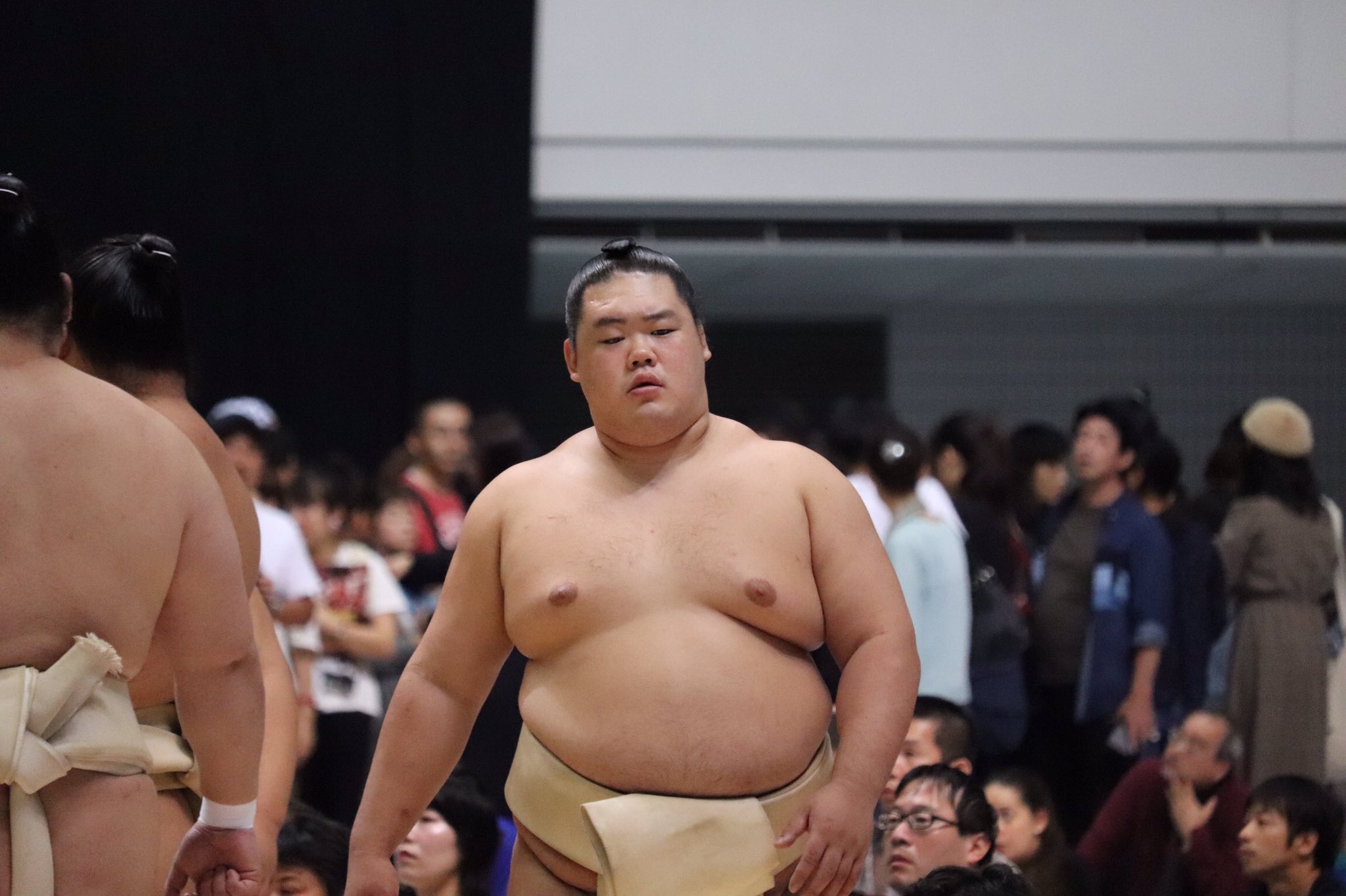 明生関　相撲　反物 大相撲 明生関 反物