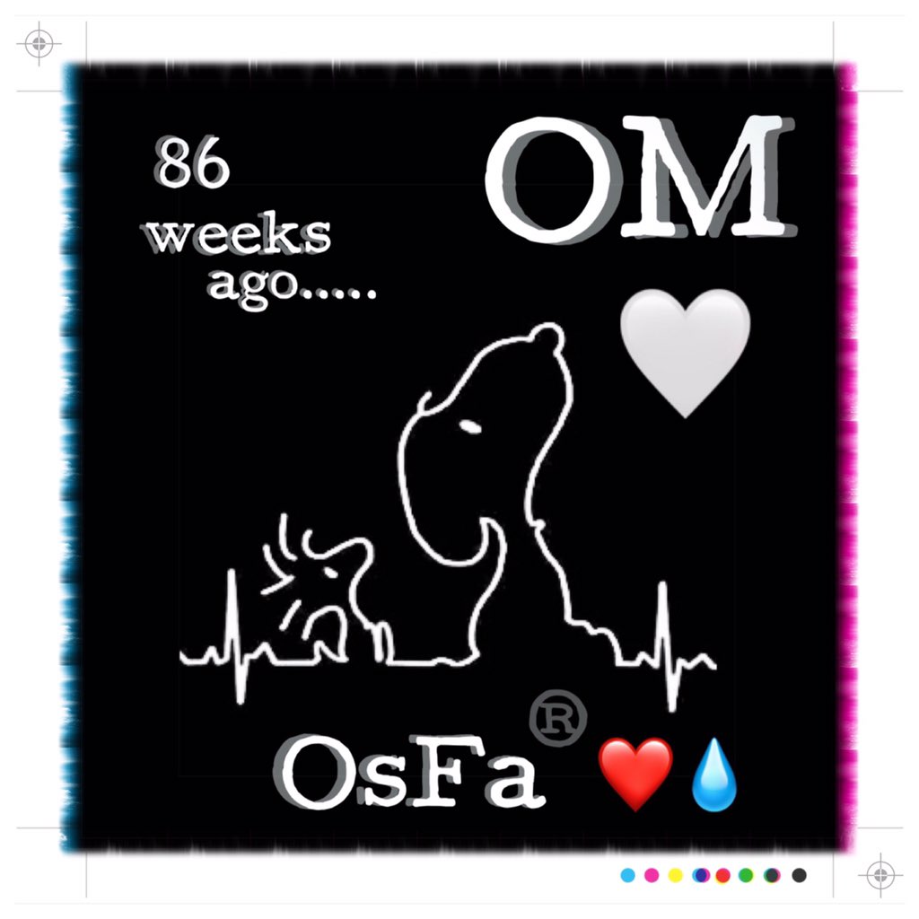 fabiianbeta08's tweet photo. #OM 86 weeks ago.. ..👊❤️👍.. ..🕯.🕯🕯🕯🕯🕯🕯🕯
“#Tú_SaBeS con tu #AmOr, #MagIa y #GeNeRosidad y #FueRZa👊🏼🤜🏼✨🌟✨🤛🏻👊🏻#GuianOs🥰🌷🤟🏼...🌟🎮👼🏼👧🏻👶🏻..🧸🎈poR el #CamiNO_AMArillO 🙏🏻mi PA #OjosBonitOS TeAMO #Óscar!!”
🤍🤜🏼🤛🏻🤍
🖤♥️❤️💧
🎩👜✨
#El_MagO
#OnicO
#OMLegacy
By #OsFa® ❤️💧 https://t.co/vWWJDWNhvF