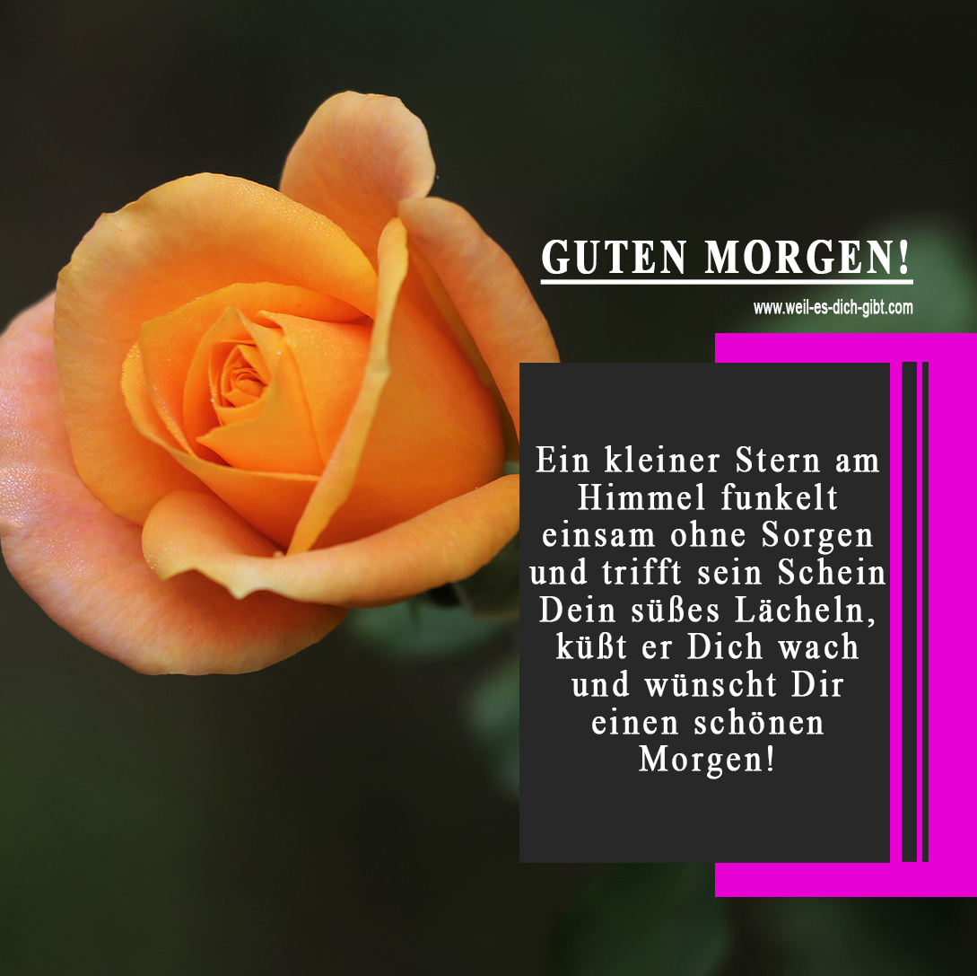 Guten Morgen Gedicht Kostenloser | Pruchol