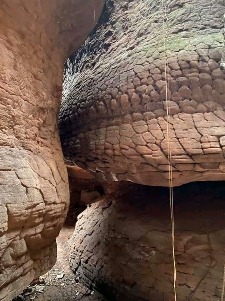 brunoportss's tweet photo. Uma coisa tão inacreditável e nada além deste mundo.
De acordo com a aldeia disseram que é uma cobra que foi amaldiçoada... https://t.co/jZkSWFRzfH
