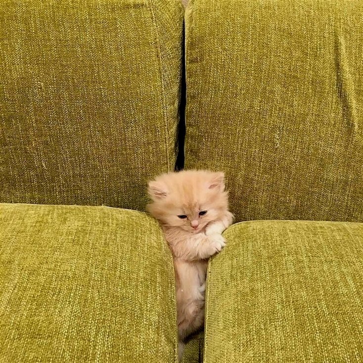 mypaws's tweet photo. https://t.co/8LVZW6QOP8