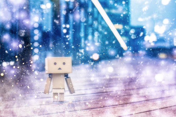 ダンボー写真のtwitterイラスト検索結果