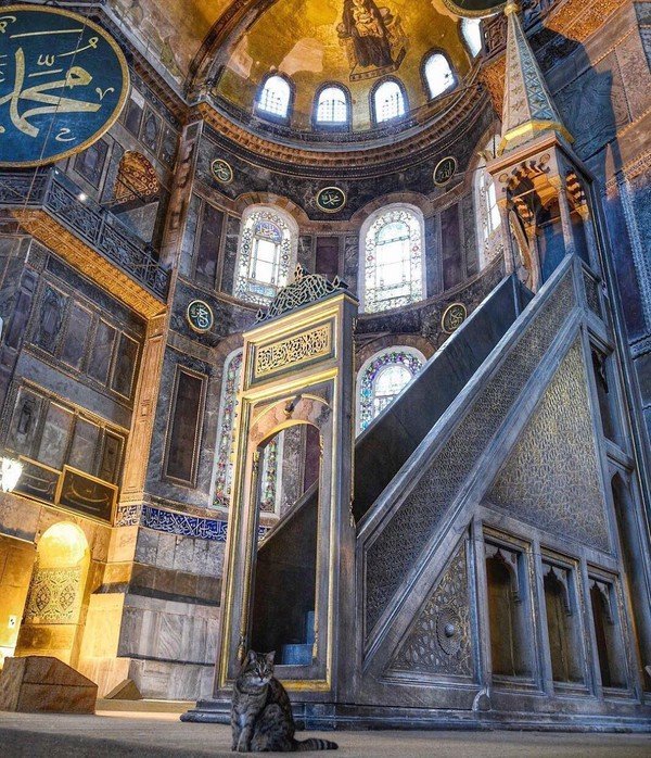 ferrari silvia tweet media