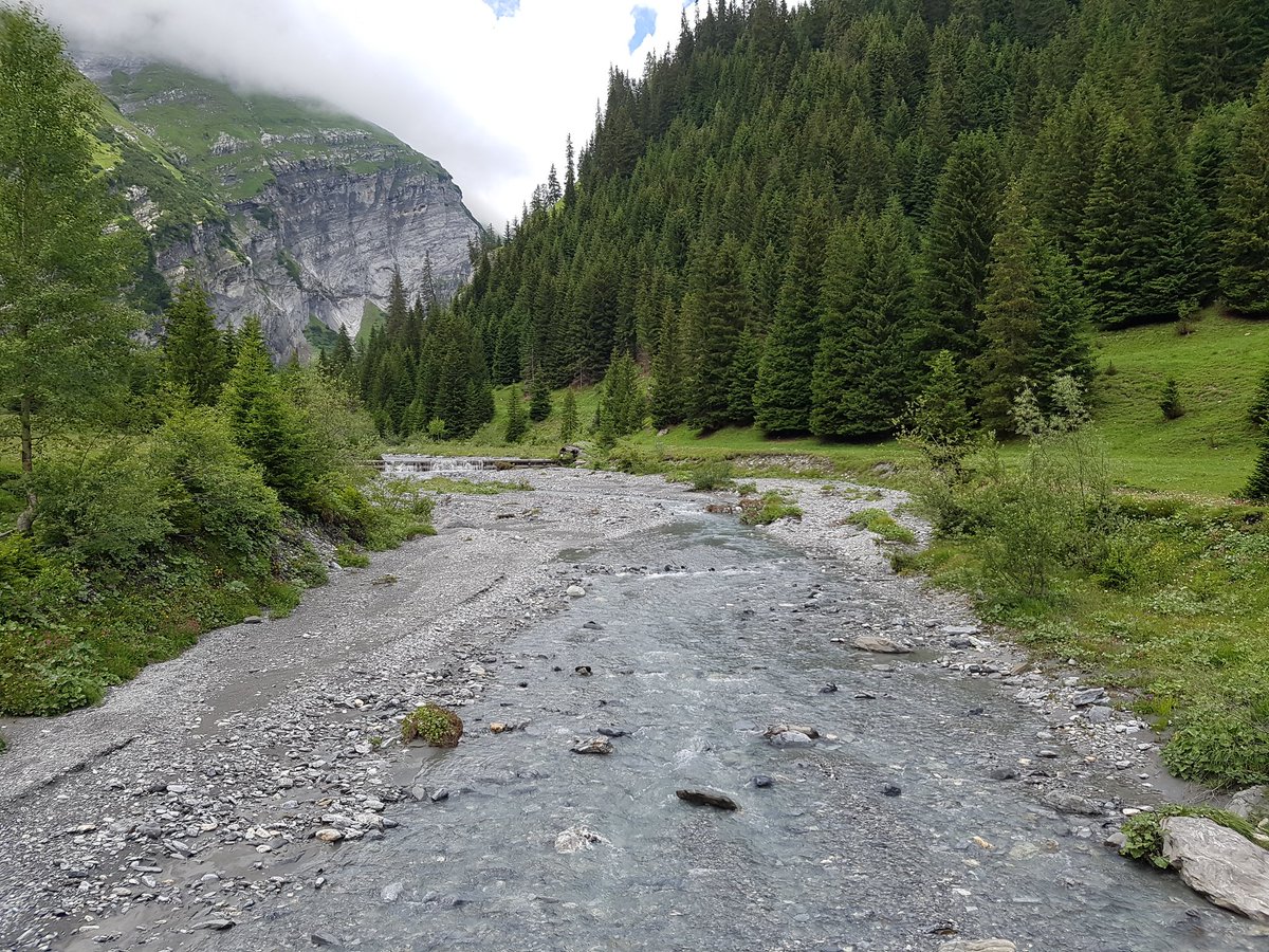 AmyandaFairy's tweet photo. Bargis, a lovely and calm place in the Swiss mountains with impressive nature
(11.07.20)
#Bargis #Grisons #Graubuenden https://t.co/sn4TDb9YU7