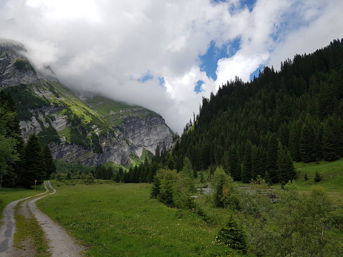 AmyandaFairy's tweet photo. Bargis, a lovely and calm place in the Swiss mountains with impressive nature
(11.07.20)
#Bargis #Grisons #Graubuenden https://t.co/sn4TDb9YU7
