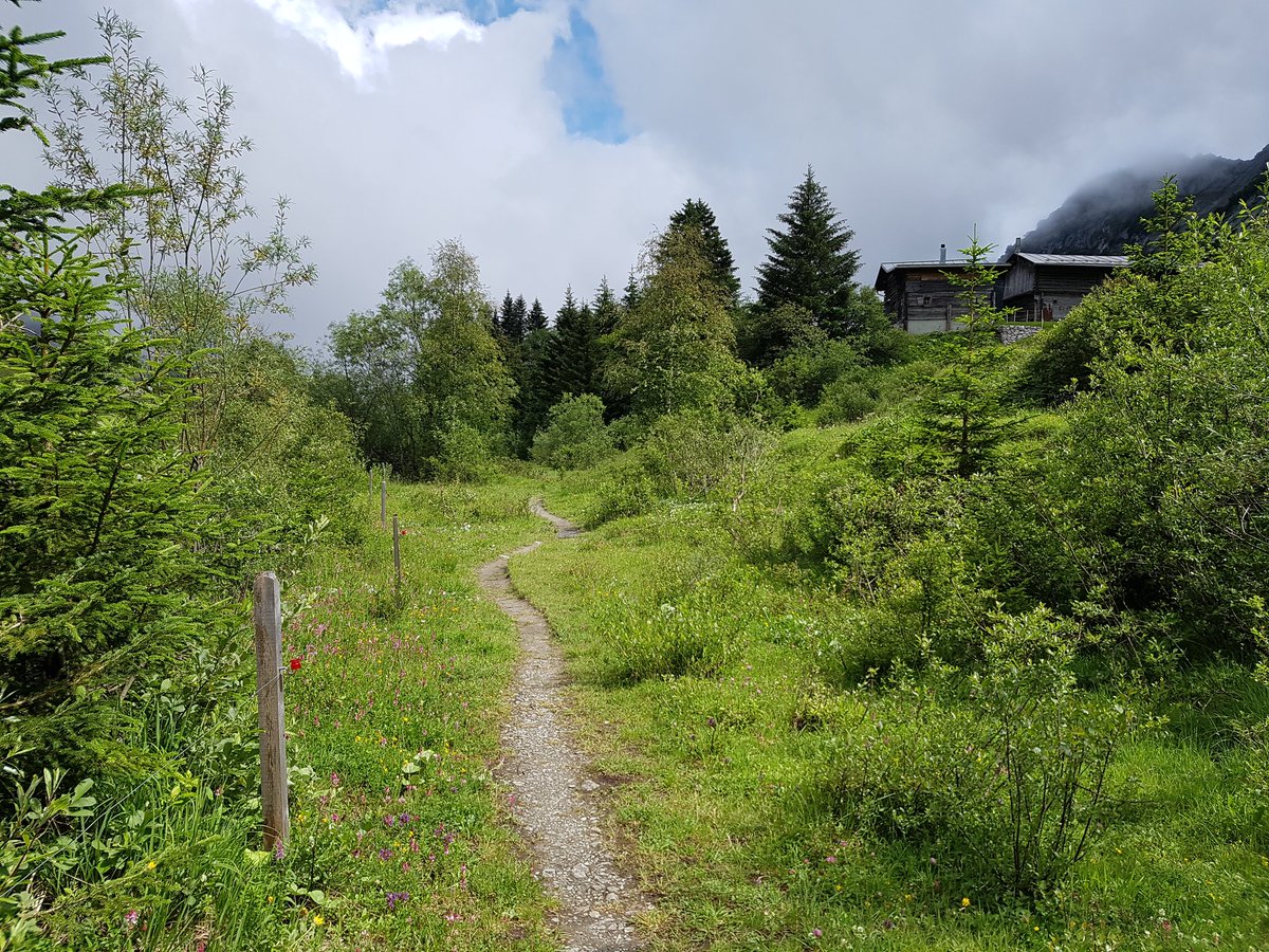 AmyandaFairy's tweet photo. Bargis, a lovely and calm place in the Swiss mountains with impressive nature
(11.07.20)
#Bargis #Grisons #Graubuenden https://t.co/sn4TDb9YU7