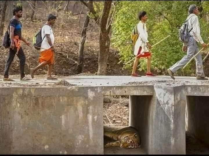 GroupKatiya's tweet photo. कुछ बातों का पता न चले तो जिंदगी सबके लिए आसान है। https://t.co/Jsvm28U9OW