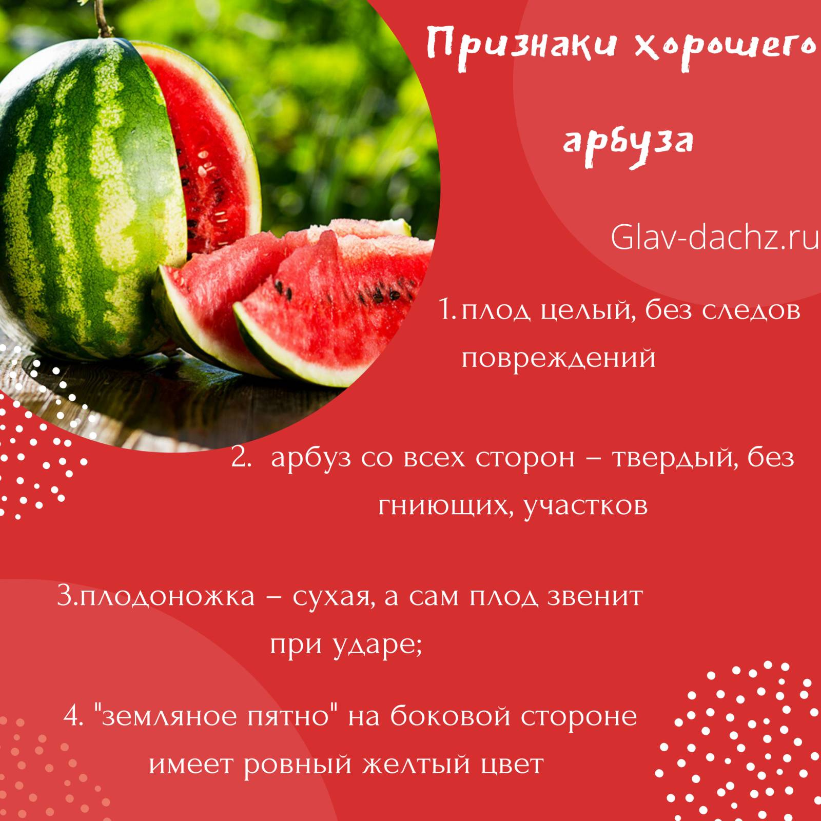 Ягода арбуз презентация. Арбуз это овощ. Почему арбуз ягода а дыня нет. Арбуз это тыквина. Арбуз это ягода или фрукт или овощ.