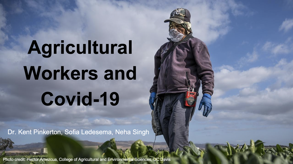 UCDATEHS1's tweet photo. This week our NIEHS @niehs T32 trainees learned about the many COVID19 exposure risks agricultural workers encounter each day on the job. Many thanks to UC Davis @ucdavis Undergraduate Public Health Scholars Sofia, Neha, and Yajaira for an outstanding presentation! https://t.co/Vxp8WKBytP