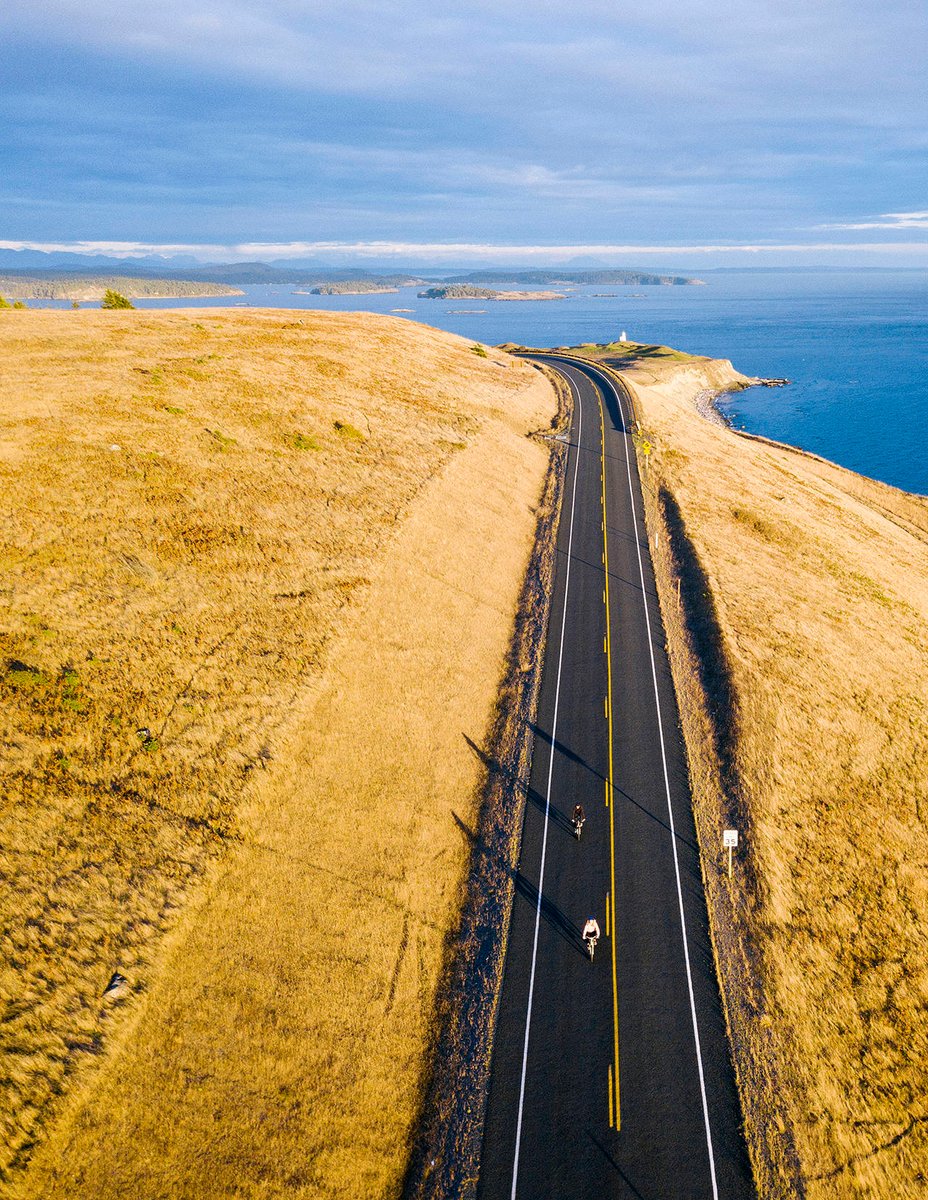 Tripoetic tweet media