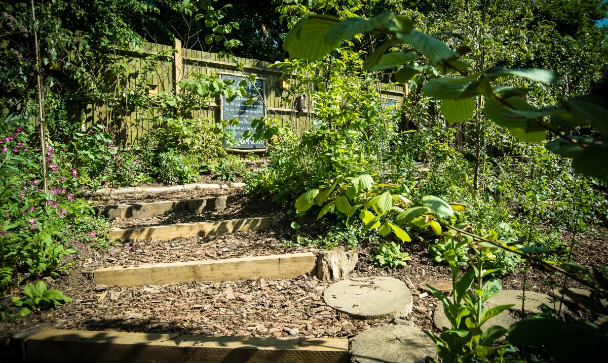 snapforchange's tweet photo. Originally concerned about taking away play equipment, I can now report they are better without. Play is calm, imaginative, child led and rich. Visiting woodland spaces is the best thing you can do for their development @OMEP_UK @allyfeatherbe #naturalplay #dawnjee2002 #snap https://t.co/YelDGUbYnh