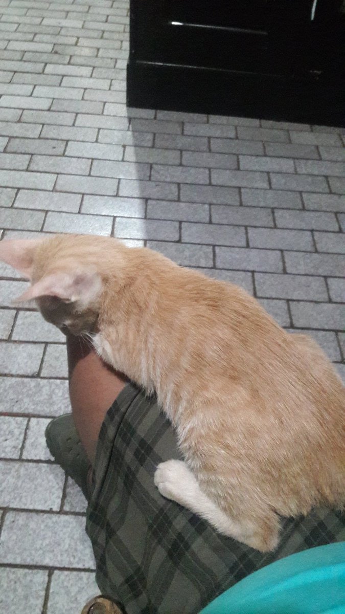 Gagal mandi...gara2 di tiban ginian <a href="/bintik_/">bintik</a>