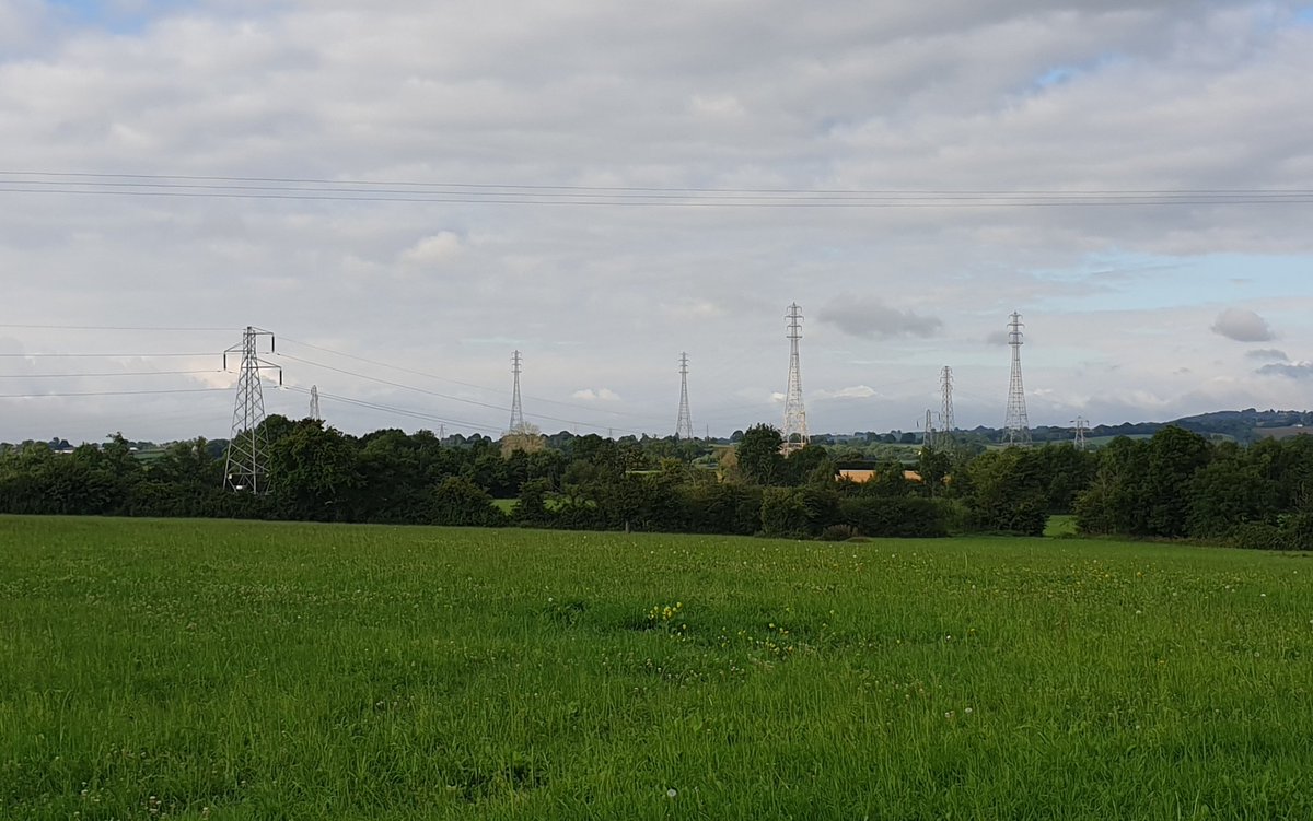SarahW95_data's tweet photo. Strange trees in the fields this morning😄 https://t.co/Ax6ohOQZ01