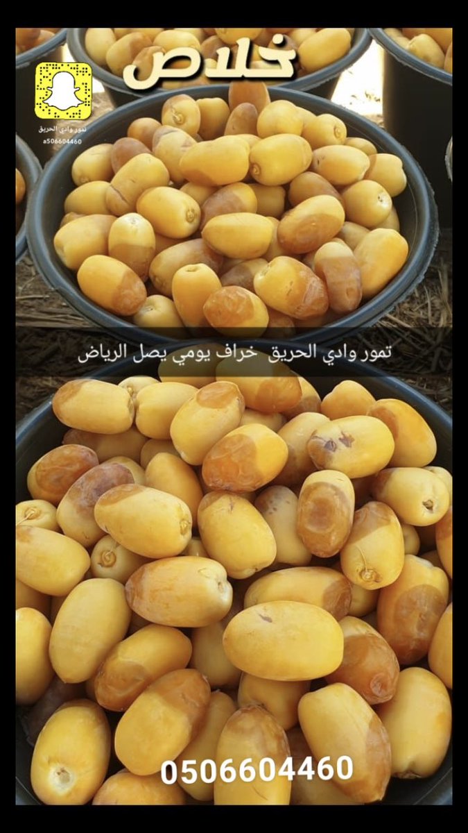 alnarjis2030's tweet photo. توصيل الرطب من الحريق الى الرياض https://t.co/a2PHn8Ueka