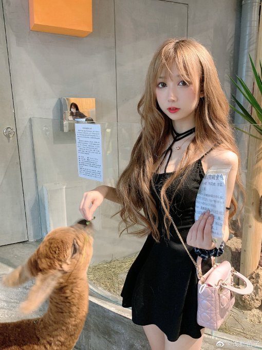 コスプレイヤー浅野菌子のTwitter画像73