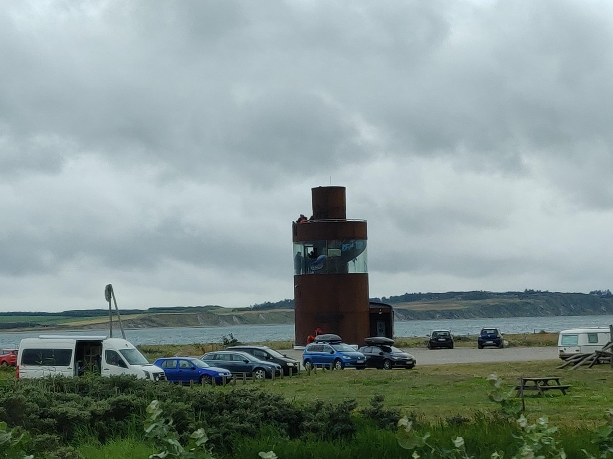 Anyone want to try my new vape? 😂