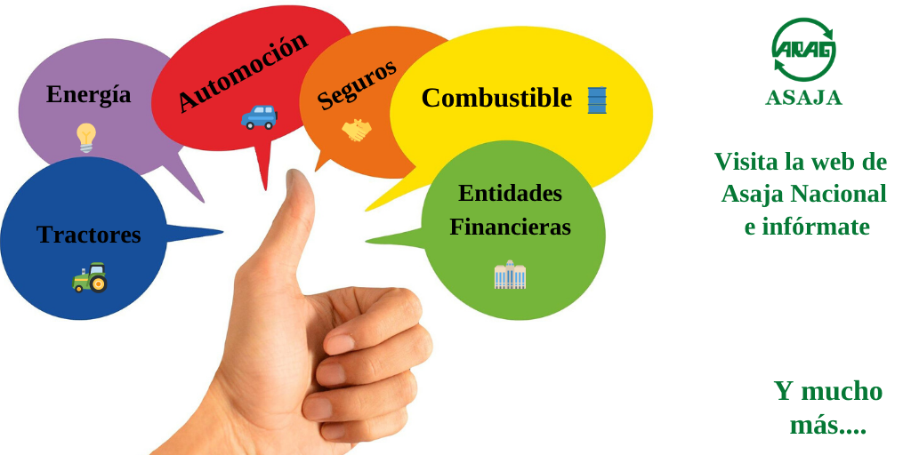 ARAG_ASAJA's tweet photo. Si eres socio de #Asaja estás de suerte 😄!
Cuentas con importantes ventajas :combustible ⛽️, automoción 🚗, energía 🔌 …
Entra en la web de @AsajaNacional y conócelas
👉🏻 https://t.co/u1pcYkbtVp
#ComprasenConjunto #Camporiojano #LaRioja #AsajaNacional https://t.co/HFhSHF0Jz3