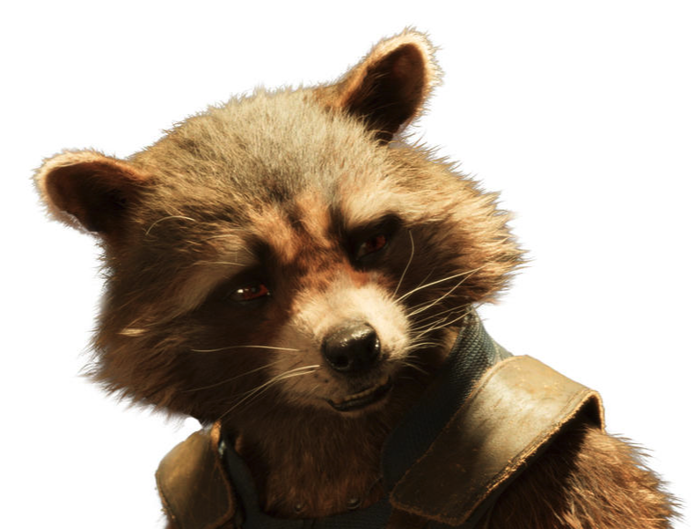 Rocket Raccoon is... The NeutrinoCan get into and out of any location undetected. Tricky little thing(s). Not entirely what he seems.