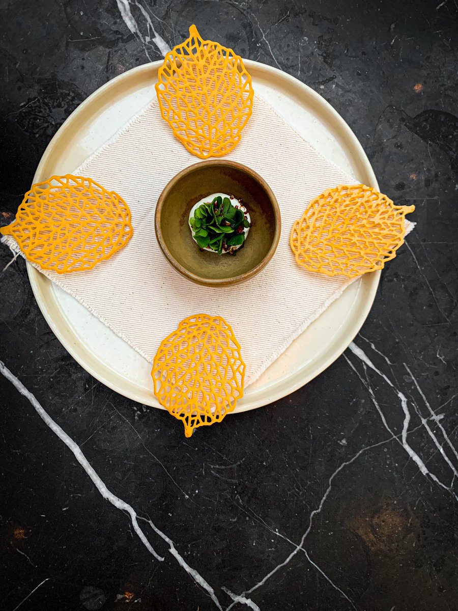 Lewis Notarangelo tweet media