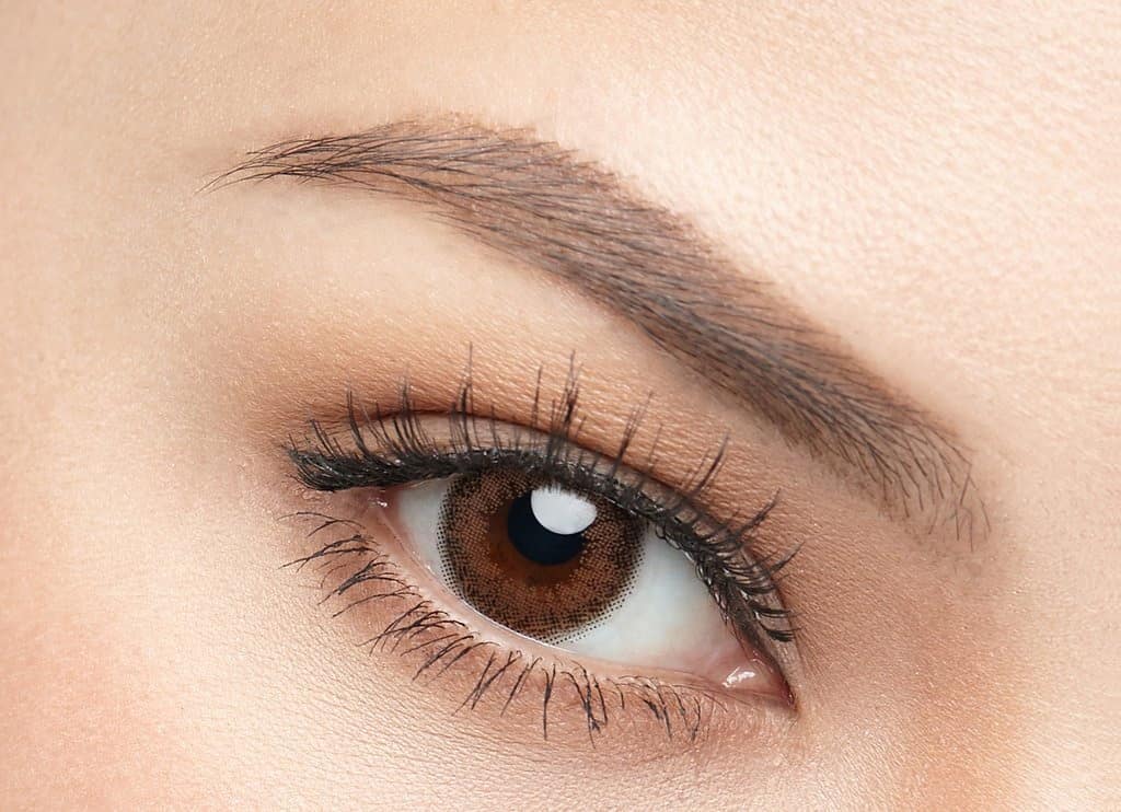 SOFTLENS IMPOR ORI tweet media