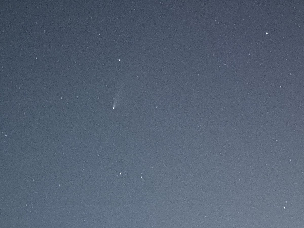 chandank's tweet photo. Spotted Neowise comet ☄️ https://t.co/mOXGbsJgcz
