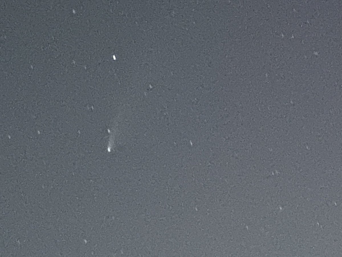 chandank's tweet photo. Spotted Neowise comet ☄️ https://t.co/mOXGbsJgcz