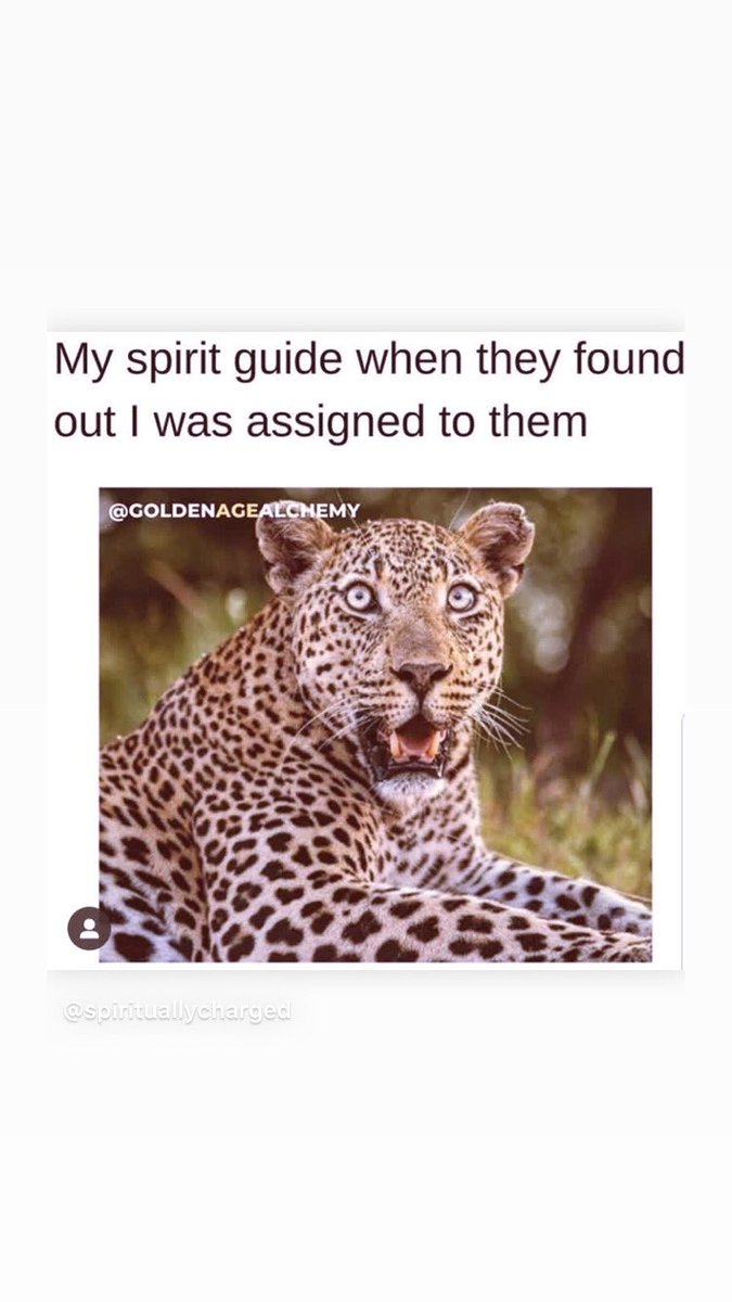 AlienAngel99's tweet image. 