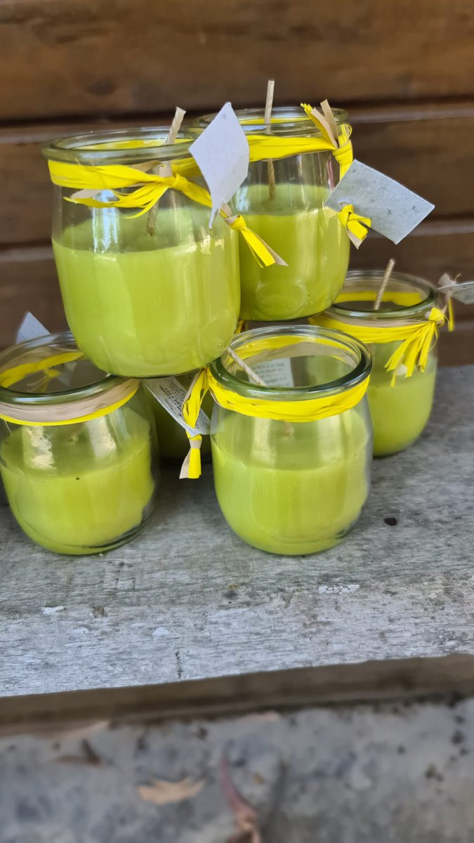 AutismeMC's tweet photo. 😩Tips de mosquits i de rascar? Les espelmes amb #citronel·la que fem als #tallers poden ajudar-vos a fer-hi front: #útils #decoratives, #solidàries i #km0. 
🛒com adquirir-les? 
👉Escriviu a tallers@mascasadevall.net o truqueu al 
☎️ 972 57 33 13 https://t.co/AggoMrQbTa