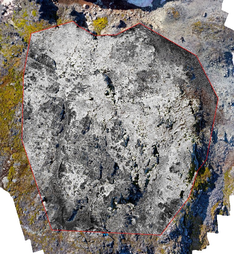 Island_UAV's tweet photo. Using visible light and NIR indices to quickly mask out shadows and identify health vegetation. From a drone of course! #uav #uas #drone #dronedata #dronemapping #vegetationmapping #vegetationindex #planthealth https://t.co/ZWgRdhnhR7
