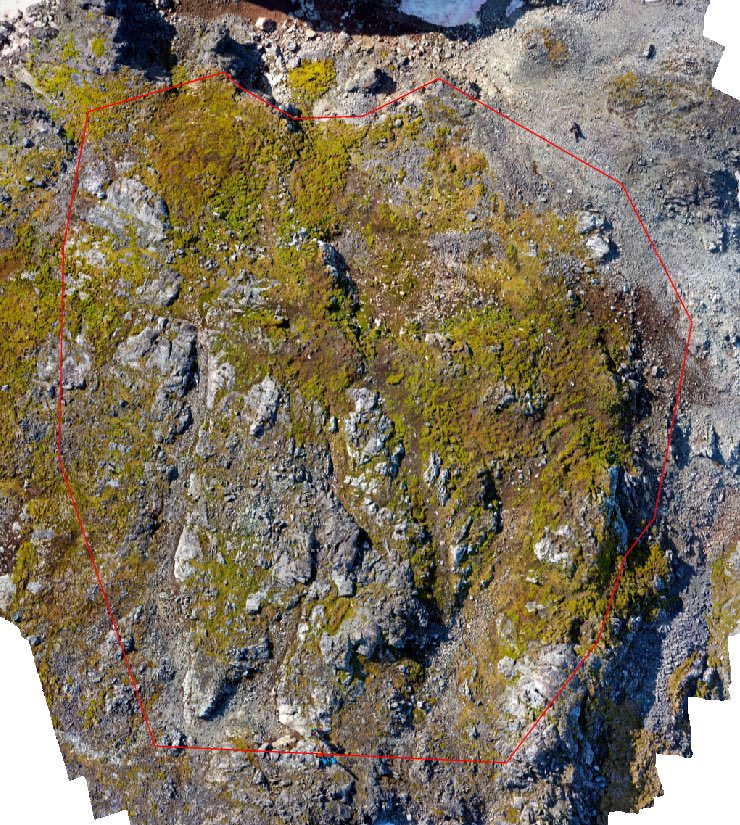 Island_UAV's tweet photo. Using visible light and NIR indices to quickly mask out shadows and identify health vegetation. From a drone of course! #uav #uas #drone #dronedata #dronemapping #vegetationmapping #vegetationindex #planthealth https://t.co/ZWgRdhnhR7