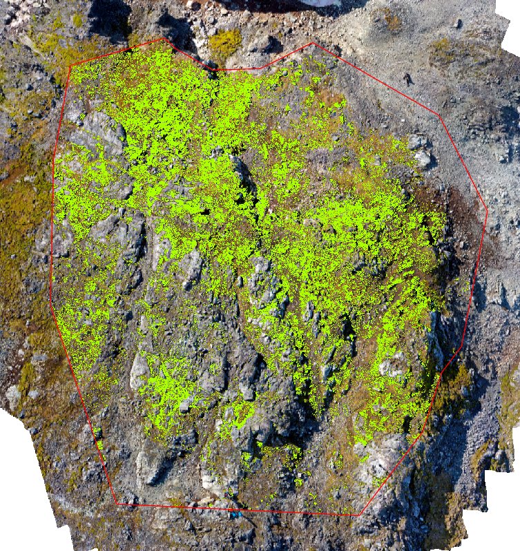 Island_UAV's tweet photo. Using visible light and NIR indices to quickly mask out shadows and identify health vegetation. From a drone of course! #uav #uas #drone #dronedata #dronemapping #vegetationmapping #vegetationindex #planthealth https://t.co/ZWgRdhnhR7