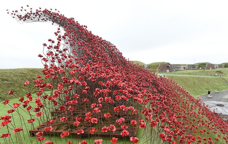 To celebrate #NationalPhotographyWeek here is a stunning picture of Poppies: Wave from 2018 at Fort Nelson. @Fort_Nelson #poppies #Portsmouth