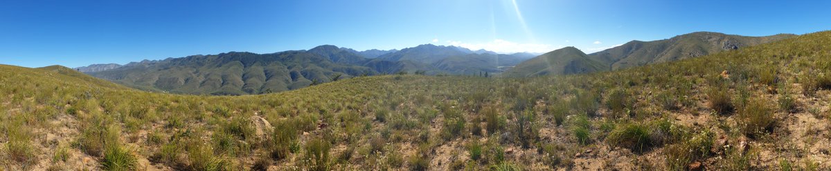 MartiBlom's tweet photo. A panoramic on the top of a hill in #DeVlugt https://t.co/dCFGSShY4m