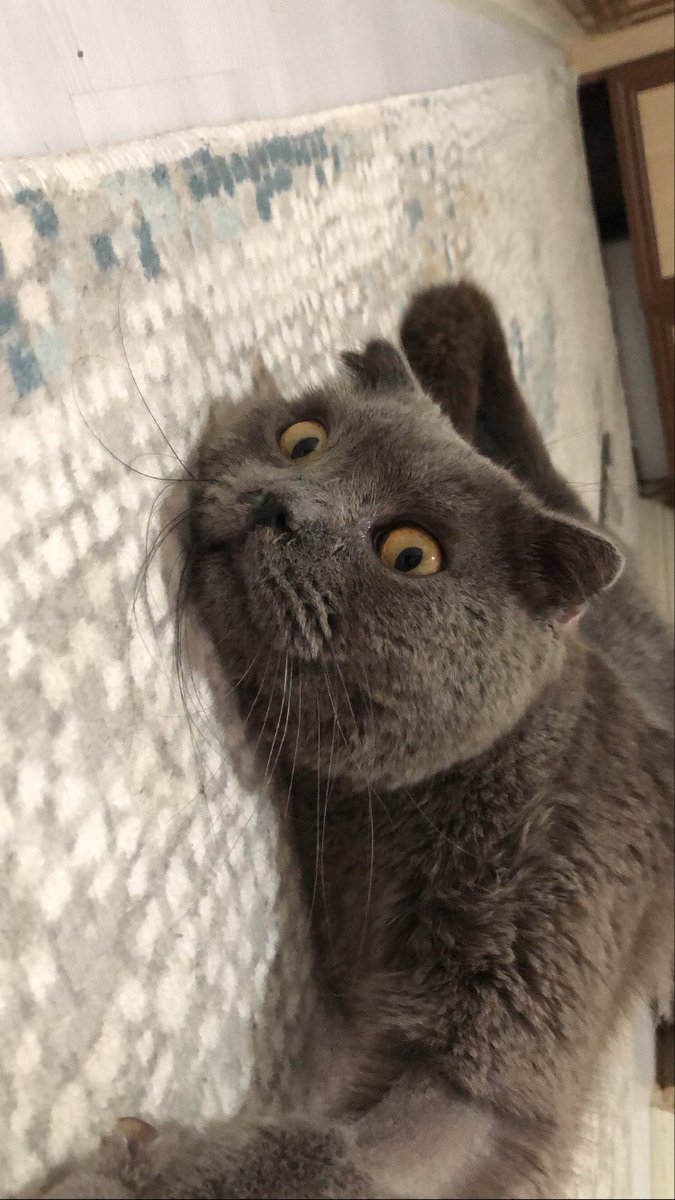 Sen benim hep güçlü oğlum olarak kalacaksın huzur içinde uyu bal oğlum 🧡