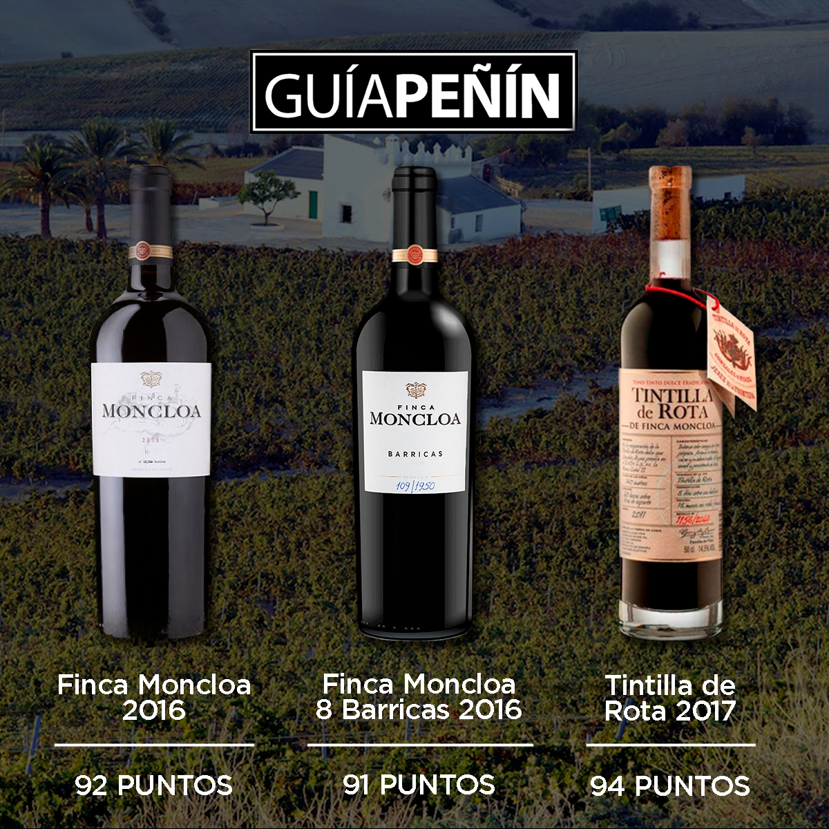 FincaMoncloa's tweet photo. ¡Hoy tenemos mucho que celebrar! Las puntuaciones de #FincaMoncloa en la @guiapenin 2021 han sido todo un éxito. Muchas gracias por este reconocimiento, seguiremos trabajando para haceros disfrutar de nuestros mejores vinos. 👏 https://t.co/Egy1mbBOiw
