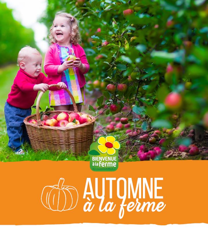 [ÉVÈNEMENT] Découvrez les couleurs de l’automne dans les exploitations <a href="/Bienvenueferme/">Bienvenue à la ferme France</a> en <a href="/paysdelaloire/">Pays de la Loire</a> ! Les #agriculteurs seront de vous faire découvrir leurs produits et vous faire vivre des expériences inoubliables à la #ferme ! bit.ly/3fWJ8G1