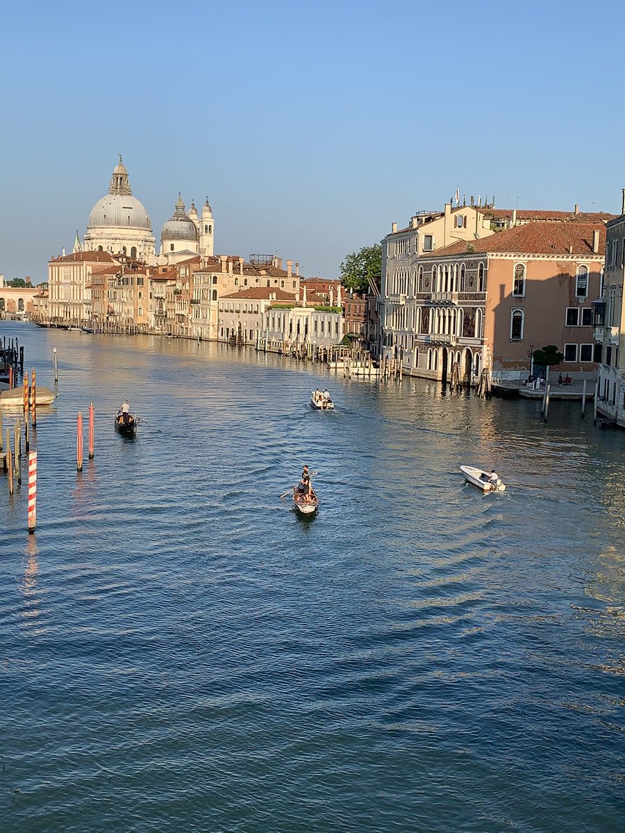 PeterBronnimann's tweet photo. Visiting #Venice is so much different when you can really see all the beauty this place offers #RespectEnjoyVenice https://t.co/QYNQ39PBSQ