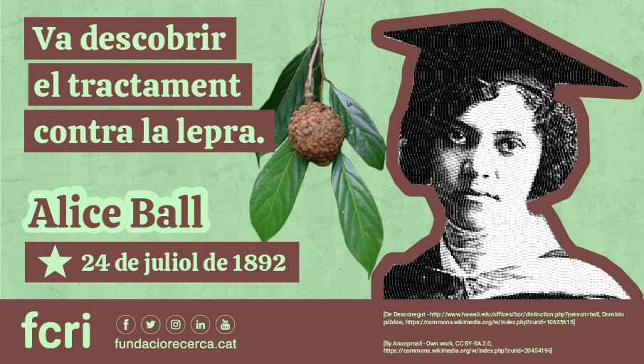 Fundació Catalana per a la Recerca i la Innovació tweet media