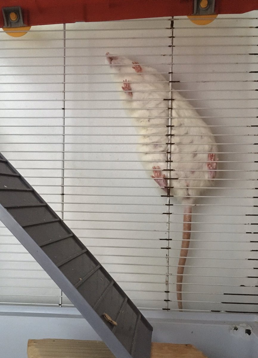 did you know we flat pack?