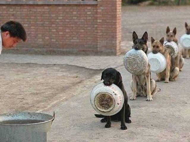 On a lighter note, I didn't know this savukku creature before I opened my Twitter a/c. Not only me, I'm living in a apartment of 50 odd families out of which not even single person knows him. Even the local DMK cadres in my area doesn't know about savukku n others online upis