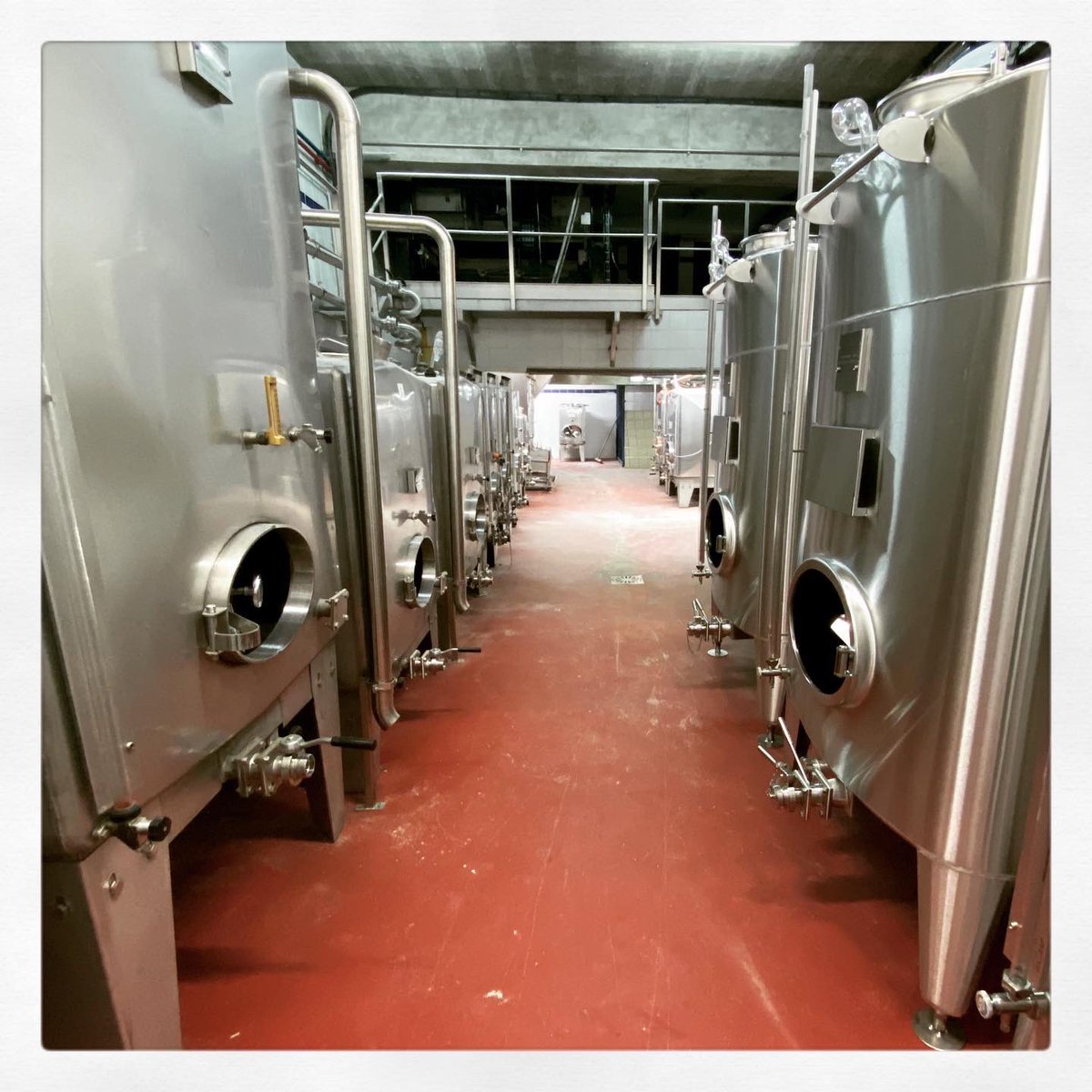 Nouveaux bêlons pour accueillir la nouvelle vendange !