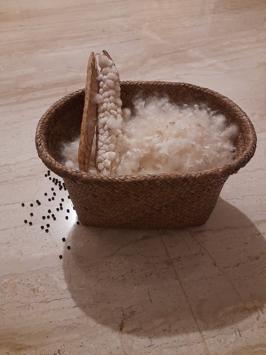 missllika's tweet photo. 2/6
What: fuelwood, medicinal herbs, wild fruits, wild vegetables

Where: 1-5km from home, in the bush, along sidewalks (east coast ZA)

Who: ~36yo, 2-child, 1-earning member households, with friends &amp; family

Why: culture, leisure, recreation

#urbanforaging #DICECON20 #ValueNat https://t.co/Tz16BV3aJn