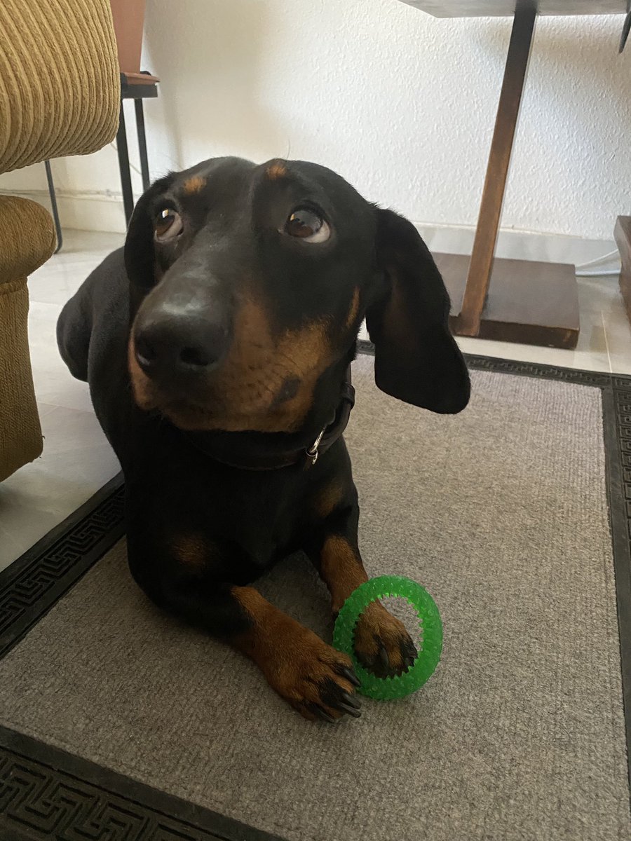 HUGO tweet media