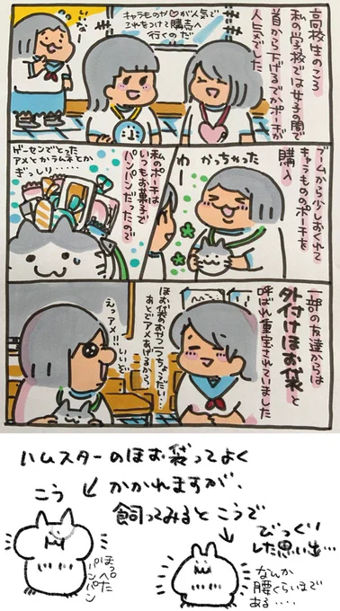 【ポップ担当日記】
高校の頃首から下げるでかポーチが流行ったのをよく覚えています。お小遣いで自分のポーチを買った時は嬉しかったですね♪
#ポップ担当日記 