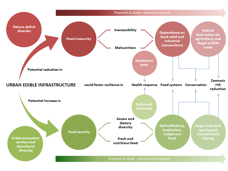 missllika's tweet photo. 6/6
Next steps: Identifying spaces, species, stewardship, &amp; sustainability for urban foraging.

Municipalities provided with indigenous species list, experiments with different types of edible spaces to come.

Also: How foraging can assist Covid-19 response.

#DICECON20 #ValueNat https://t.co/P4sazhpDfl