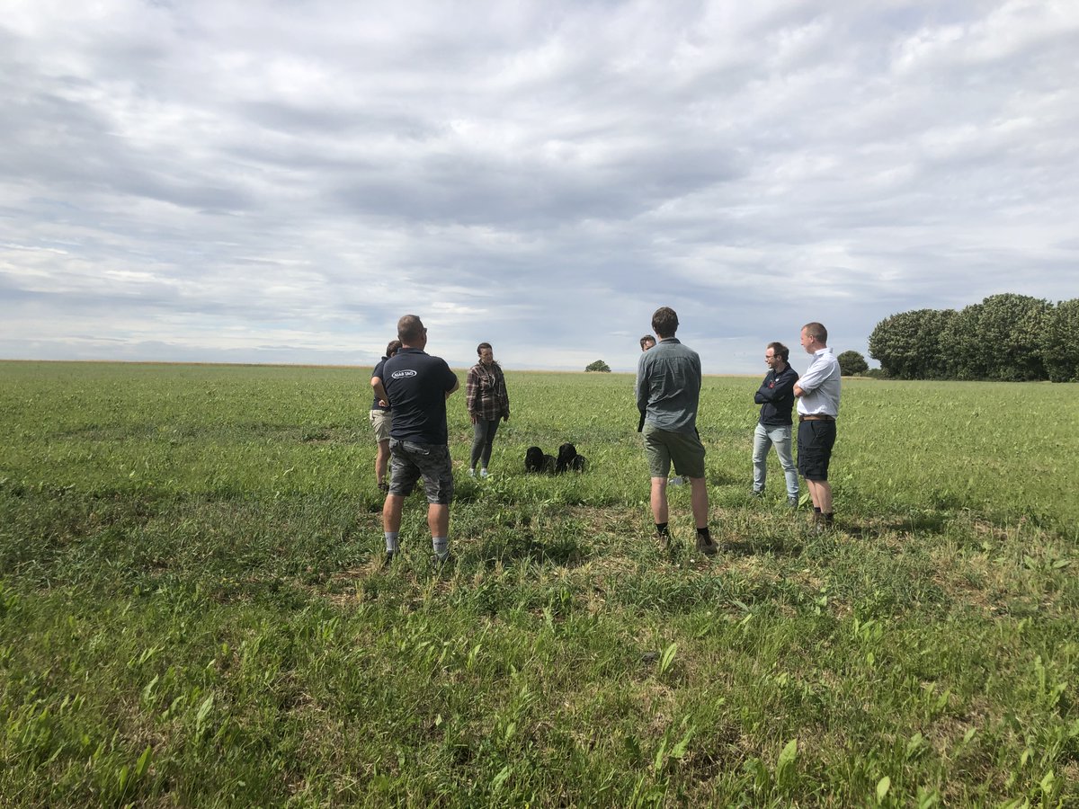 niabgroup's tweet photo. Great to meet the @Groundswellaguk team on the stunning Hertfordshire site yesterday, planning for the 2021 event including a wider range of demo plots and a #soilscience seminar marquee with NIAB's Farming Systems Team @DavidClarke735 @AgricWill https://t.co/k6RgU3B7XU