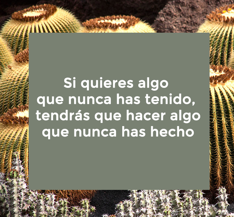 Summer Collection Bestiario SS20*