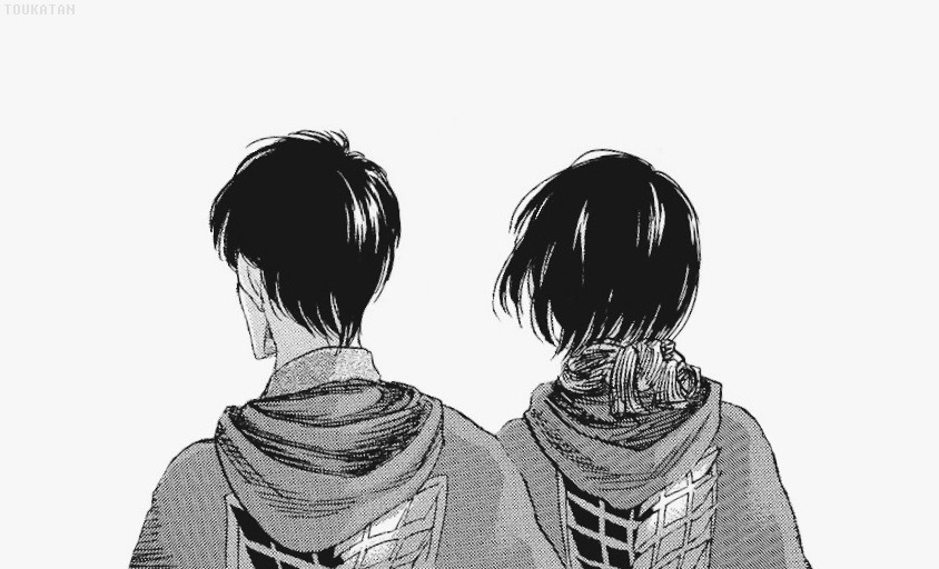 the 1 | mikasa's pov