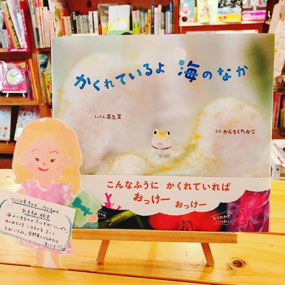 うみべのえほんや ツバメ号 A Twitter 表紙の魚は カエルウオ 可愛いね 種類は違うけど 横須賀市の天神島ビジターセンターの水槽に カエルウオがいたけど まだいるかな ユーモラスな動きで なんとも可愛い表情がある魚で 大好きです 小学校一年生の教科書